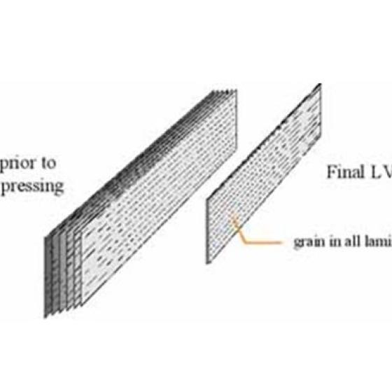 The structure of an LVL member