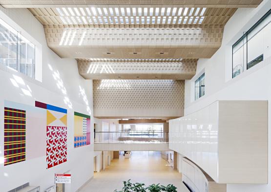 a building with a large ceiling and a plant