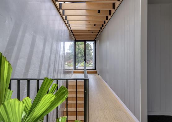 a hallway with a plant and a window