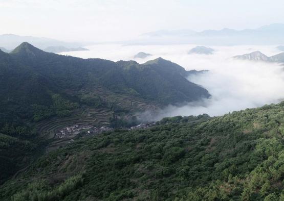 a landscape of a valley with trees and clouds