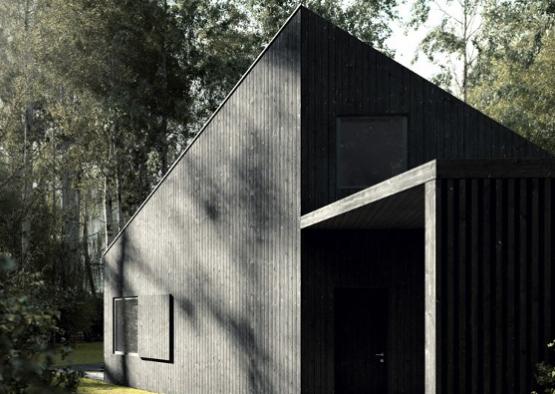 a black house with a triangular roof